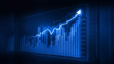 The Role of SIP and India VIX in Stock Market Investments