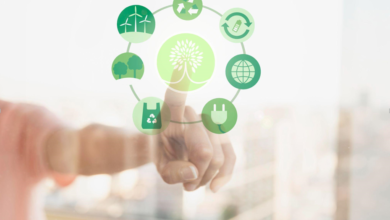 What Is EDMS—and Why Does It Matter?