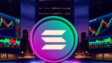 Solana USDT for Institutional Investors: Risks and Opportunities