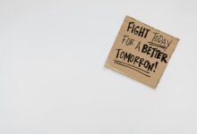 call purpose overview summary