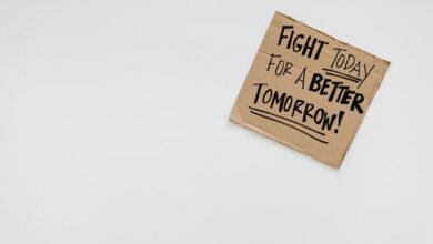 call purpose overview summary