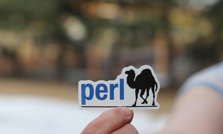 identifier code explanation summary