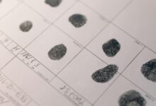 identity verification for number