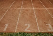 phone number analysis details