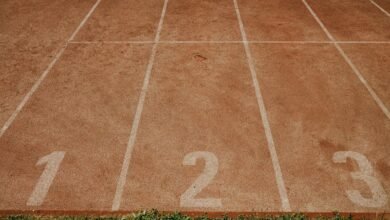 phone number analysis details