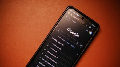 phone number lookup results