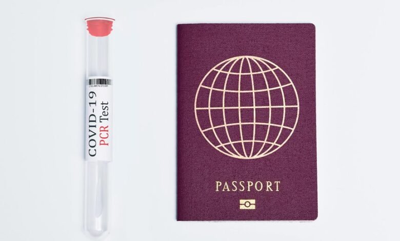 safety results for phone