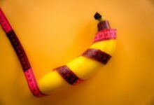 size dimensions specified clearly