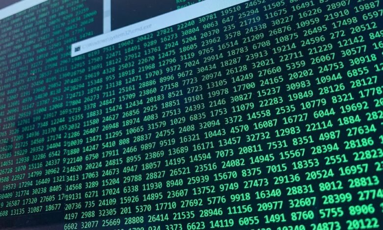 user data for number