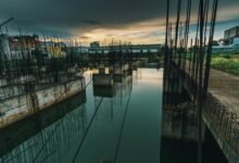 dynamic model progress update