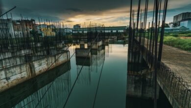 dynamic model progress update