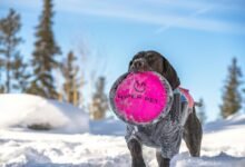 fusion hyper node 931222126