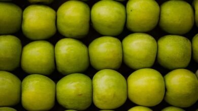 market growth strategy plan