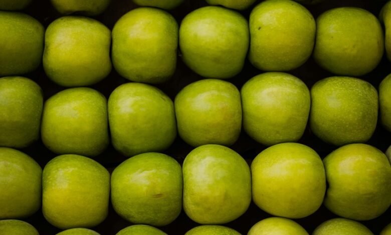 market growth strategy plan