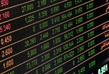 market insight and outlook