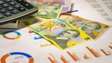 zenith flow growth conversion