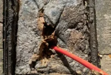 What Leads To Blocked Drains And How Can They Be Prevented