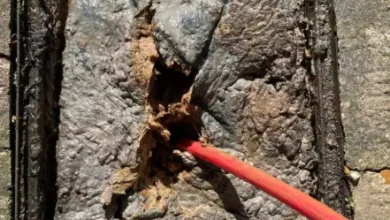 What Leads To Blocked Drains And How Can They Be Prevented
